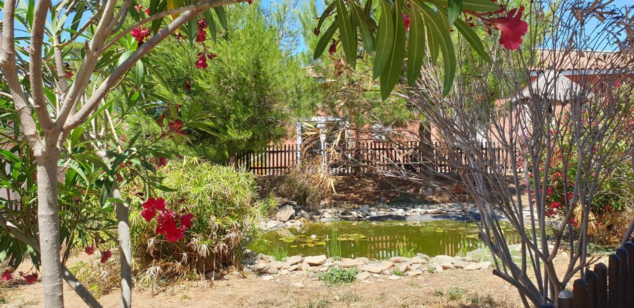 Maison Climatisee Avec Piscine Chauffee Calvisson